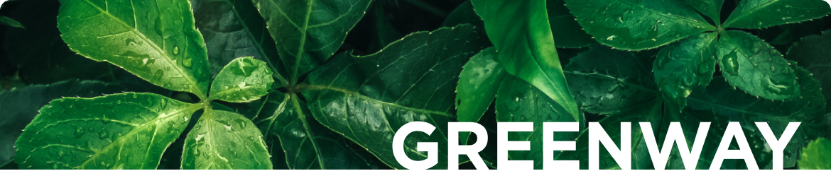 Welllab :: Продукты :: Greenway